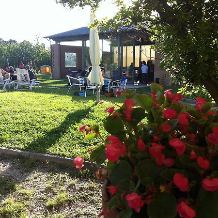 Agriturismo Accipicchia Ancona Ngoại thất bức ảnh