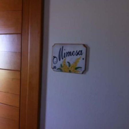 Agriturismo Accipicchia Ancona Phòng bức ảnh